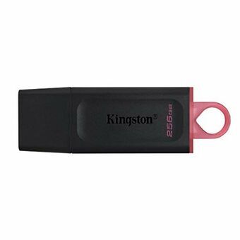 USB stick Kingston DTX/256GB            256 GB Black