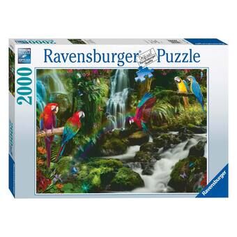 Variegated Parrots in the Jungle Jigsaw Puzzle, 2000pcs.