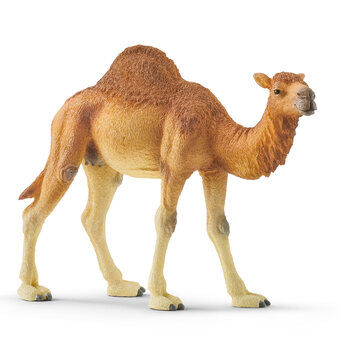 schleich WILD LIFE Dromedary 14832