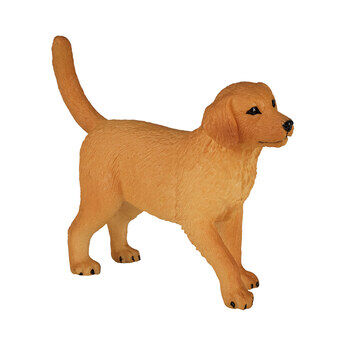 Mojo Farmland Golden Retriever Puppy - 387205