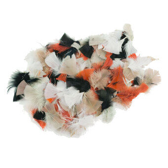 Colorations - Natural Feathers 85 Grams, 750pcs.