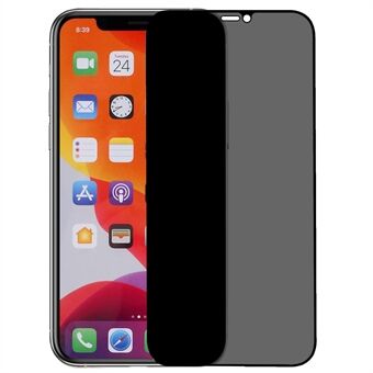 Tempered Glass Screen Protector for iPhone XR/11 6.1 inch, Anti-spy Matte HD Silk Printing Full Glue Full Screen Film